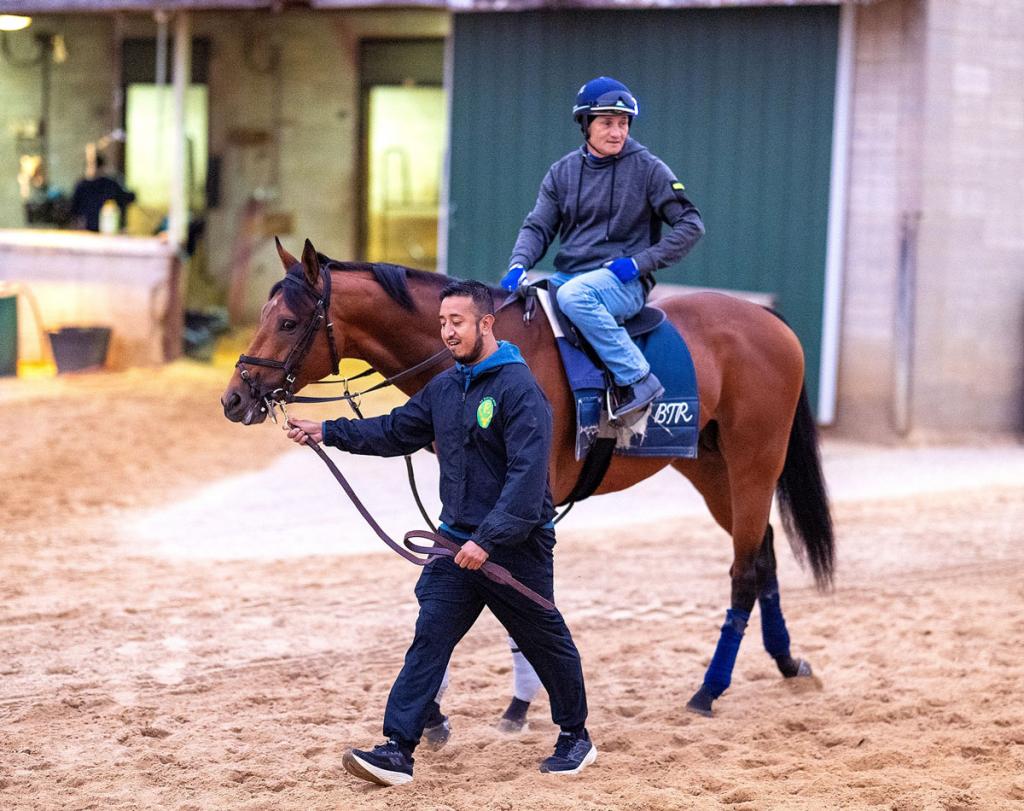Taj Mahal, retaining an unbeaten record after triumphing in the Federico Tesio Stakes (Photographed by Jim McCue/Maryland Jockey Club)