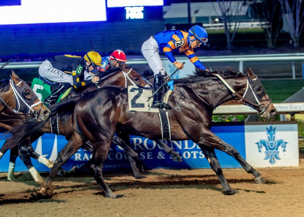Chip Honcho, the victor of the Gun Runner Stakes (Hodges Photography/Jan Brubaker)