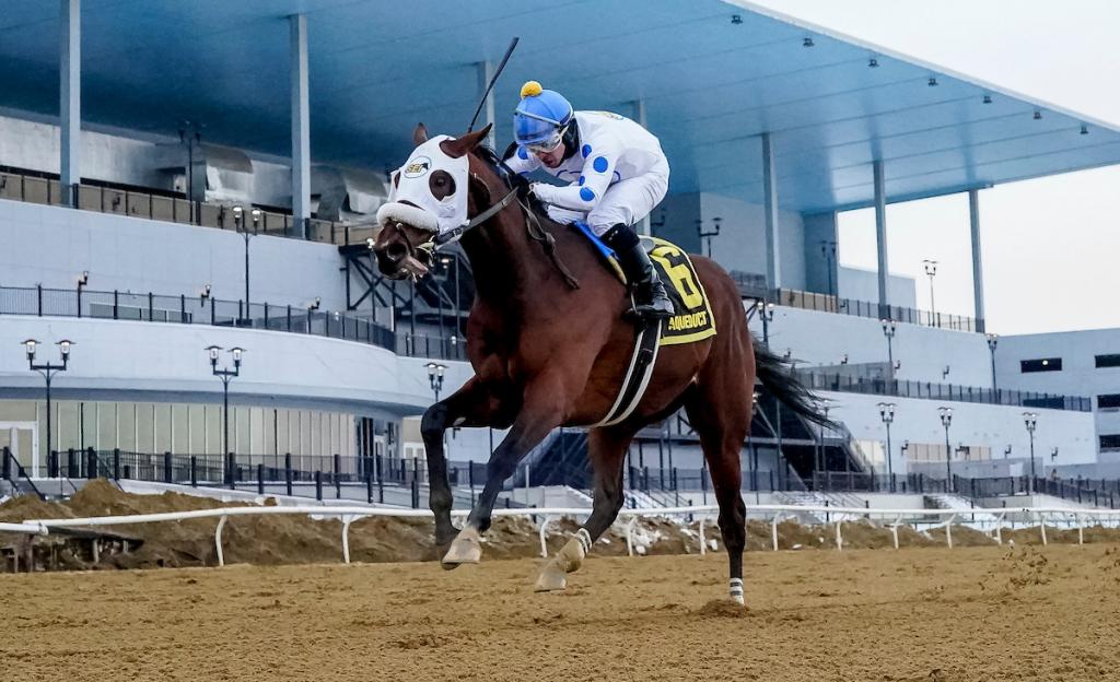 Talk to Me Jimmy, the horse that won the Withers Stakes (Eclipse Sportswire captures)
