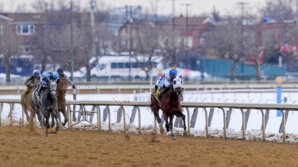 Talk to Me Jimmy, the horse that won the Withers Stakes (Eclipse Sportswire captures)