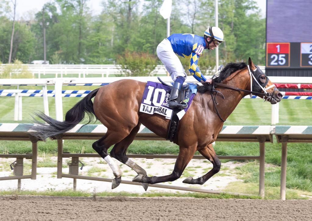 Taj Mahal, retaining an unbeaten record after triumphing in the Federico Tesio Stakes (Photographed by Jim McCue/Maryland Jockey Club)