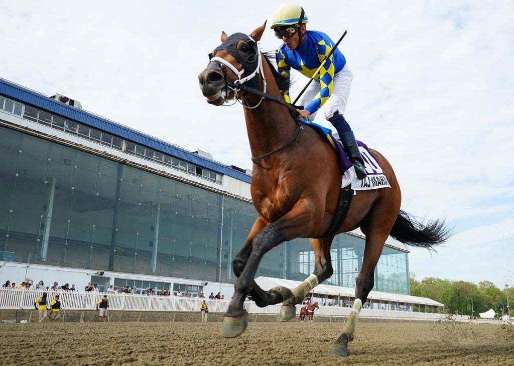 Taj Mahal, retaining an unbeaten record after triumphing in the Federico Tesio Stakes (Photographed by Jim McCue/Maryland Jockey Club)