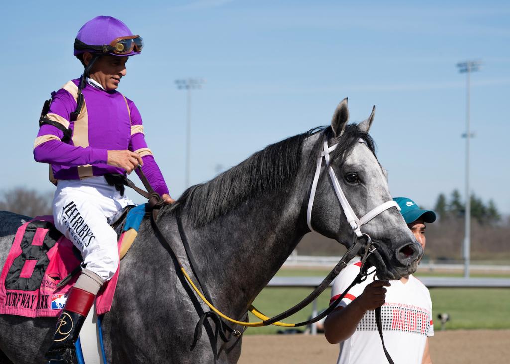 Bull by the Horns, the winner of the Rushaway Stakes (Imagery provided by Eclipse Sportswire)
