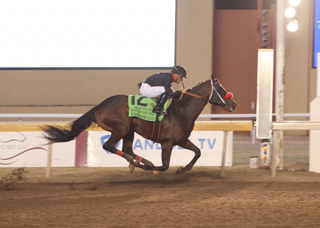 Express Kid, the horse that claimed the Remington Springboard Mile Stakes (Dustin Orona Photography/Remington Park)