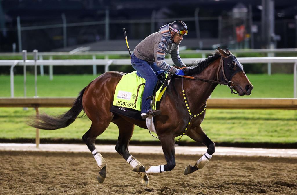 Robusta, who placed second in the San Felipe Stakes and finished 14th at the Kentucky Derby (Images from Eclipse Sportswire)