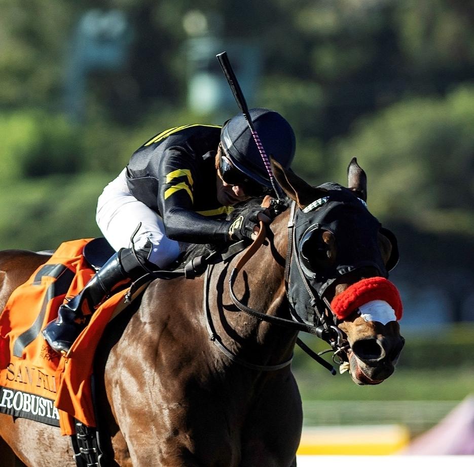 Robusta, who placed second in the San Felipe Stakes and finished 14th at the Kentucky Derby (BENOIT photo)
