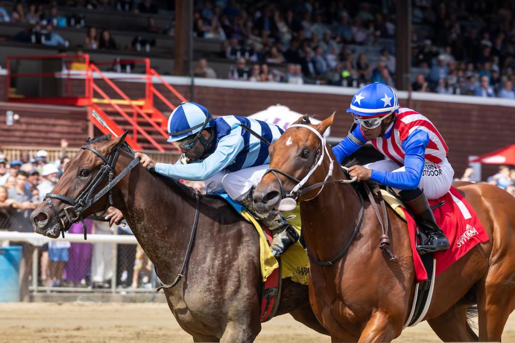Talkin, securing third position in the Blue Grass Stakes (Photographed by Eclipse Sportswire)
