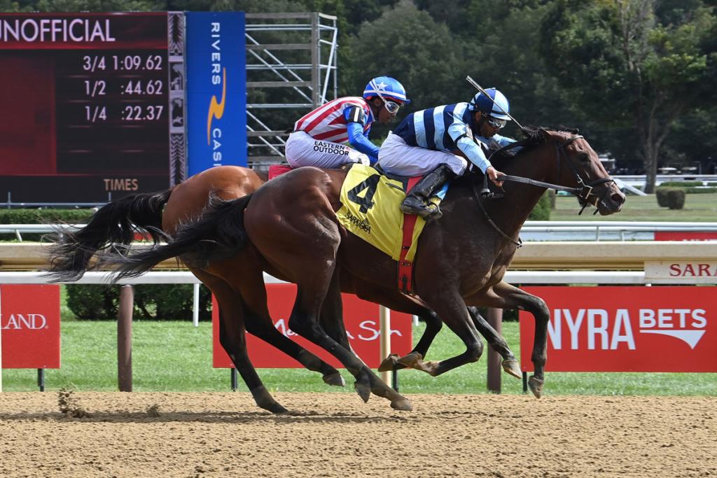Talkin, securing third position in the Blue Grass Stakes (Adam Coglianese/NYRA)
