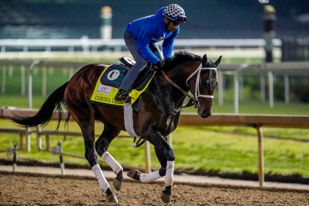 Corona de Oro, who achieved a third-place finish in the Lexington Stakes (Eclipse Sportswire visuals)