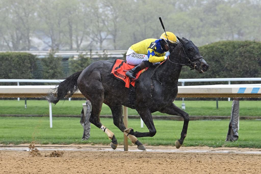Pretty Boy Miah, arriving at the Preakness following two consecutive victories (Photo by Adam Coglianese/NYRA)