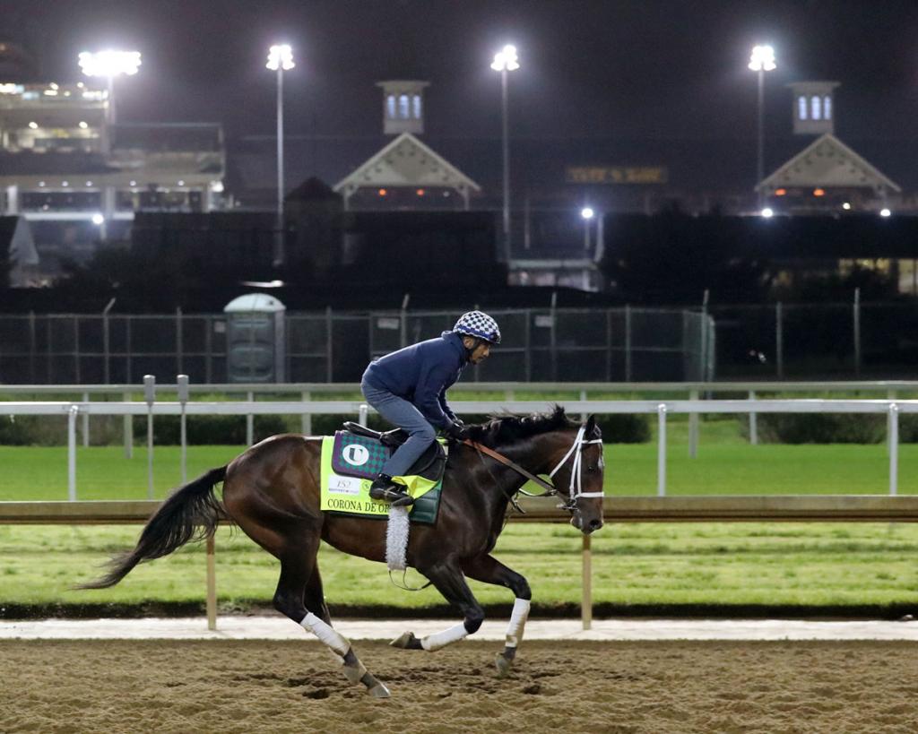 Corona de Oro, who achieved a third-place finish in the Lexington Stakes (Photography courtesy of Coady Media)