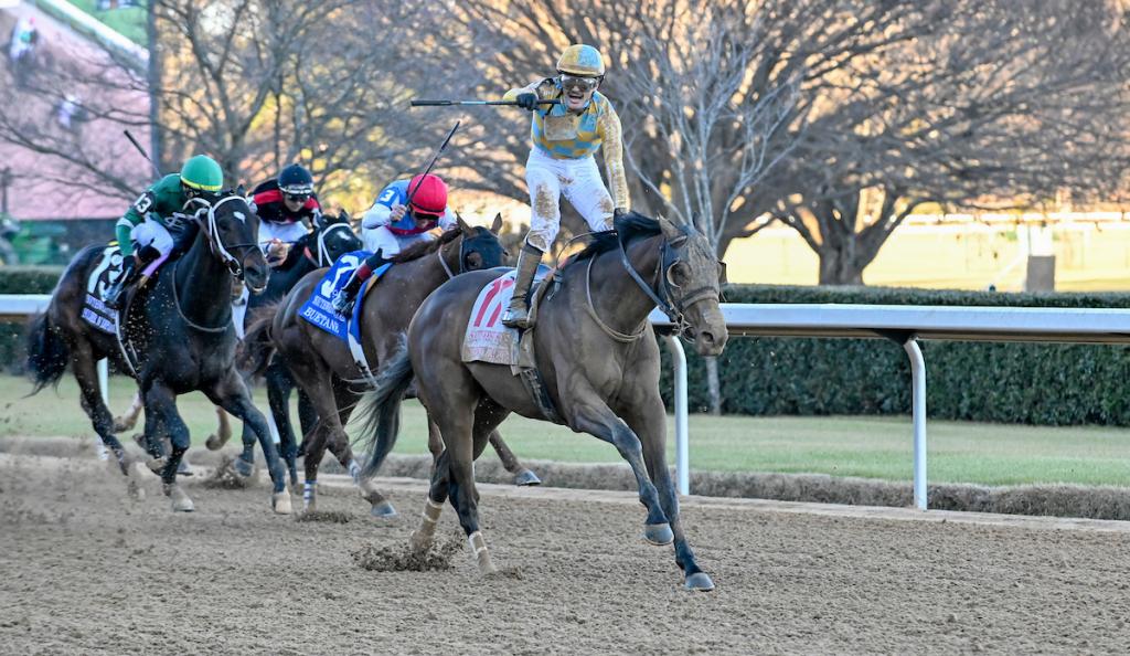 Silent Tactic, the champion of the Southwest Stakes (Eclipse Sportswire visuals)