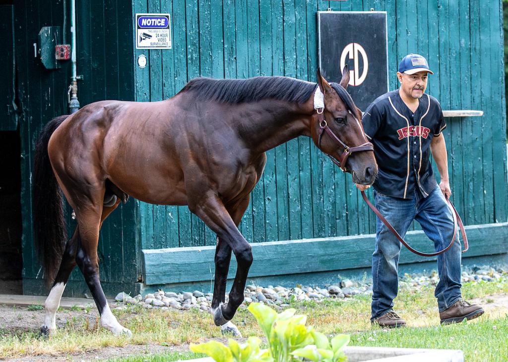 Golden Tempo, winner of the Kentucky Derby and Belmont Stakes (Eclipse Sportswire)