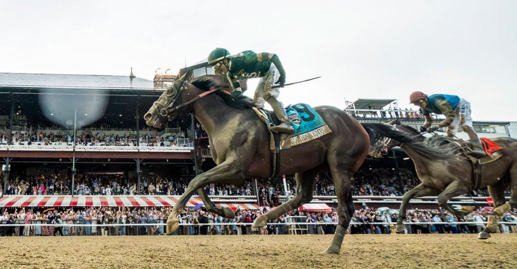 Double classic winner Golden Tempo, triumphant in the Kentucky Derby and Belmont Stakes (Eclipse Sportswire)