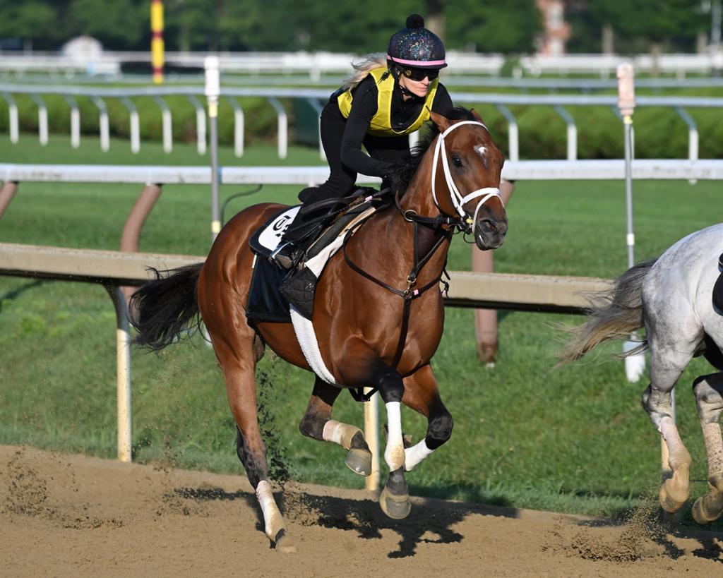Arkansas Derby and Jim Dandy Stakes champion Renegade (Coglianese Photos/Hannah Bonczkowski)