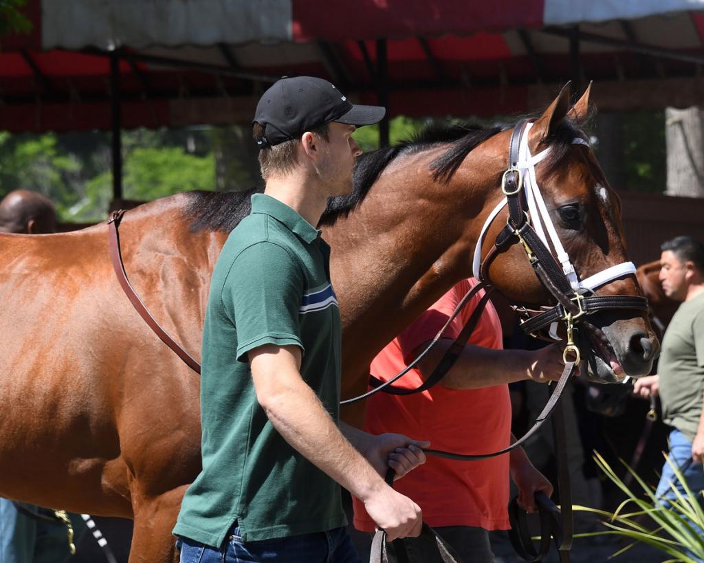 Renegade, triumphant in the Arkansas Derby and Jim Dandy Stakes (Coglianese Photos/Susie Raisher)