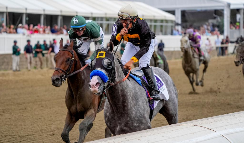 Napoleon Solo, who triumphed in the Preakness Stakes (Eclipse Sportswire)
