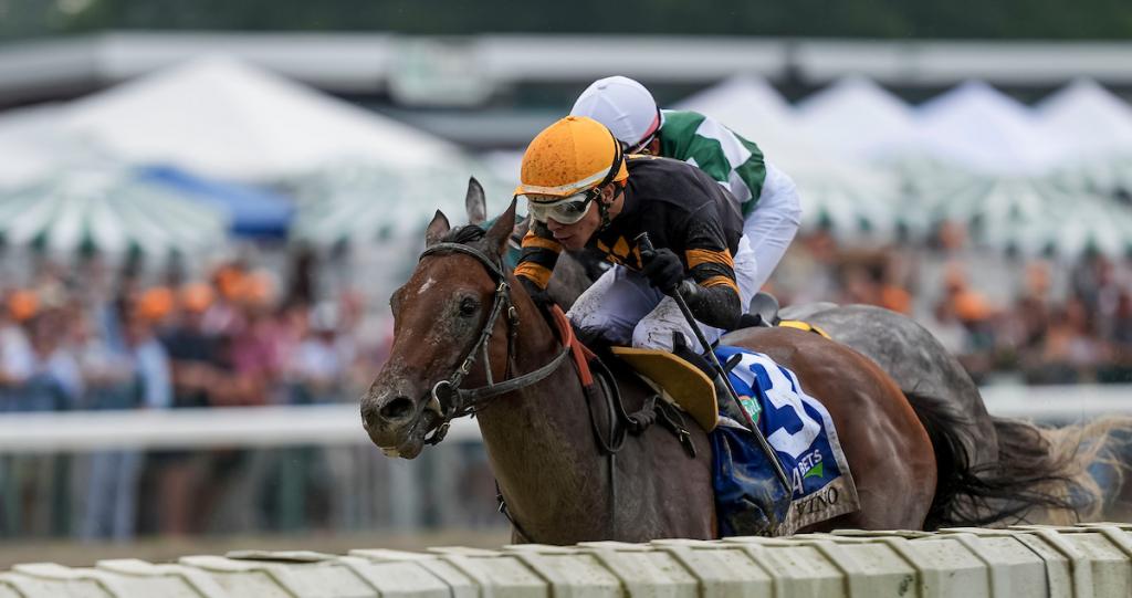 Haskell Stakes champion Baby Vino (Eclipse Sportswire)