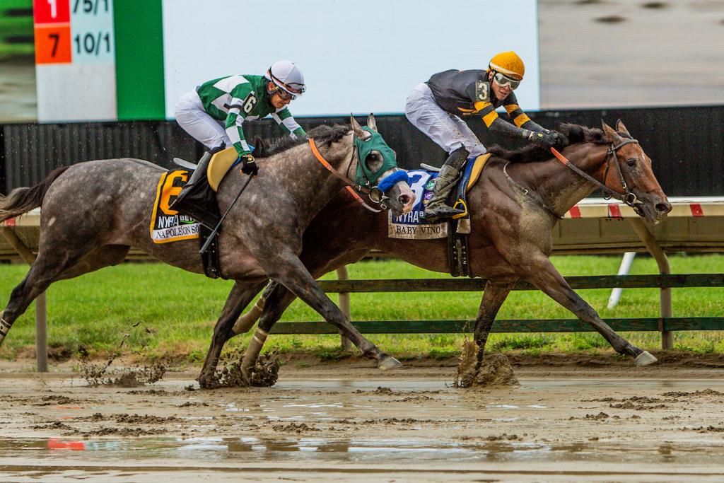 Baby Vino, winner of the Haskell Stakes (Eclipse Sportswire)