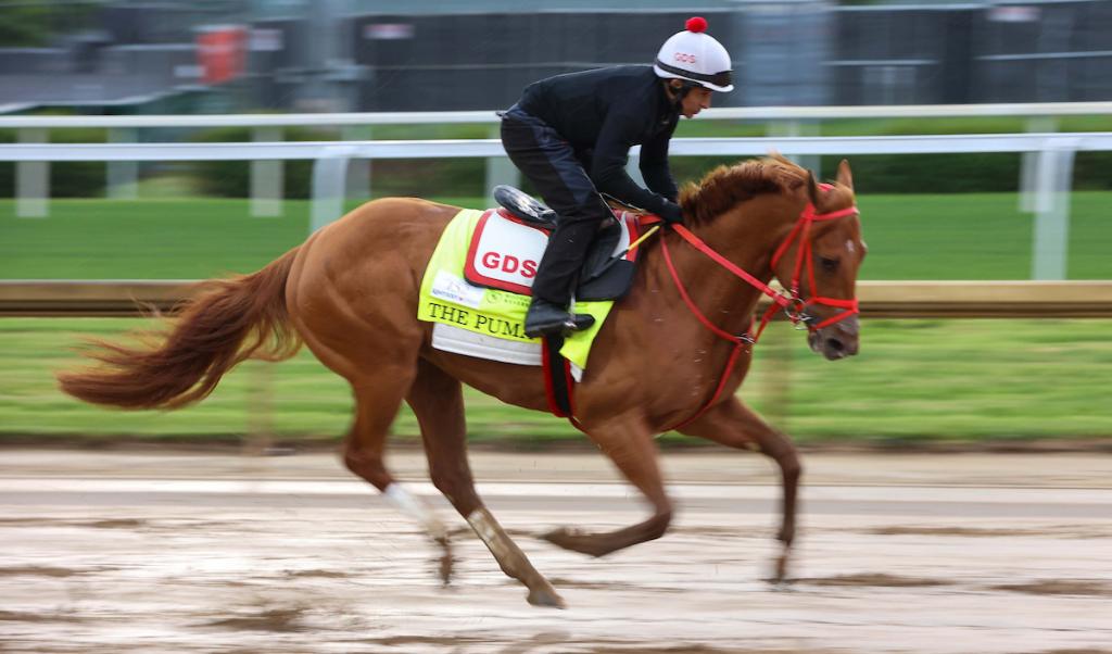 The Puma, victor in the Tampa Bay Derby (Eclipse Sportswire)