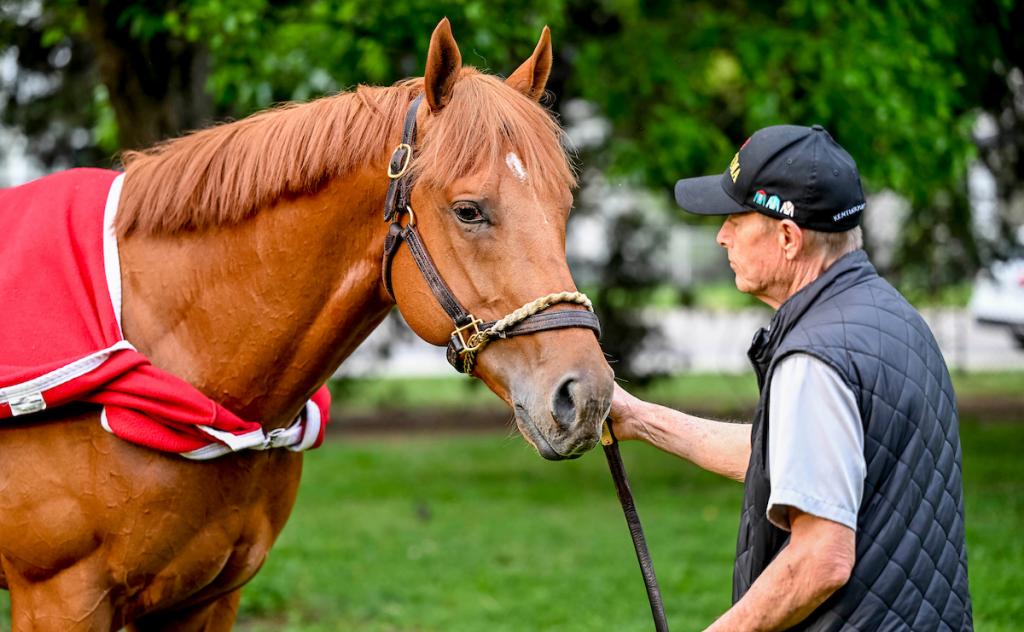Tampa Bay Derby champion The Puma (Eclipse Sportswire)