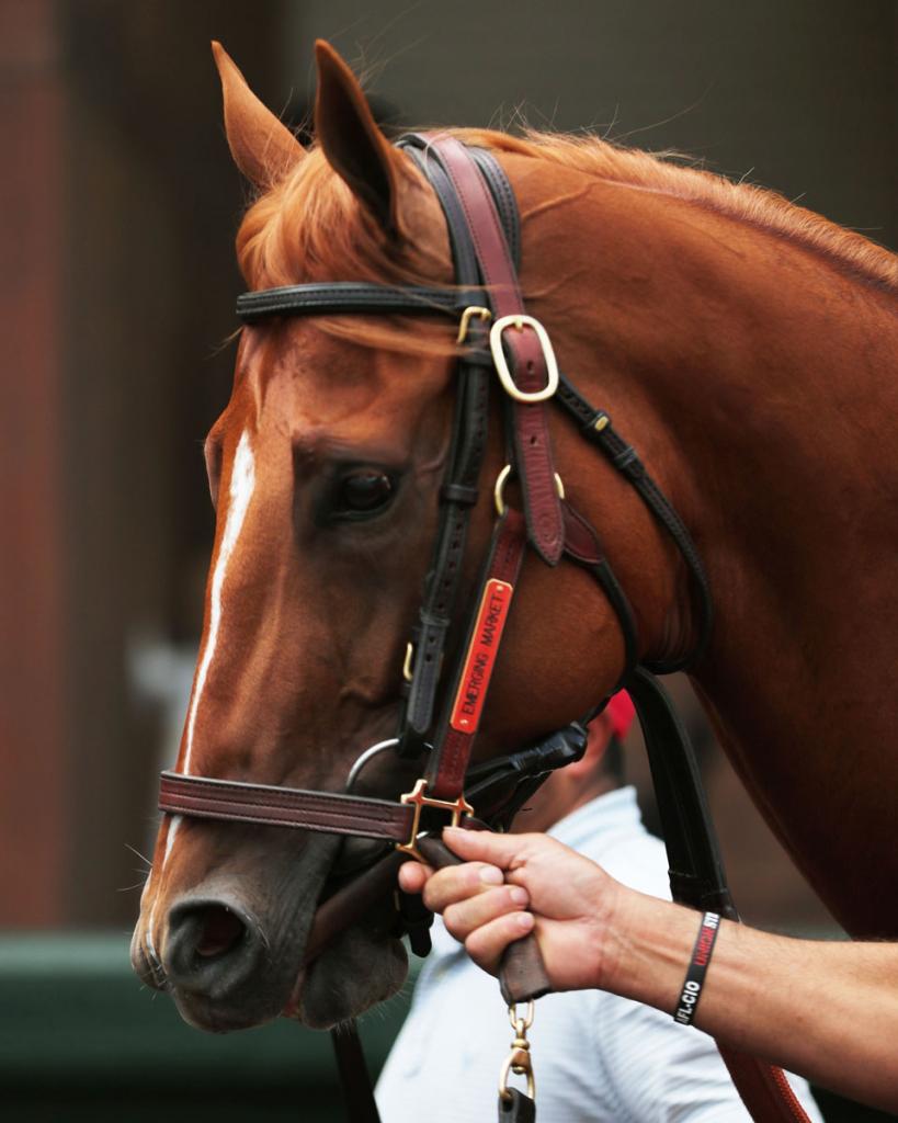 Louisiana Derby victor Emerging Market (Coady Media)