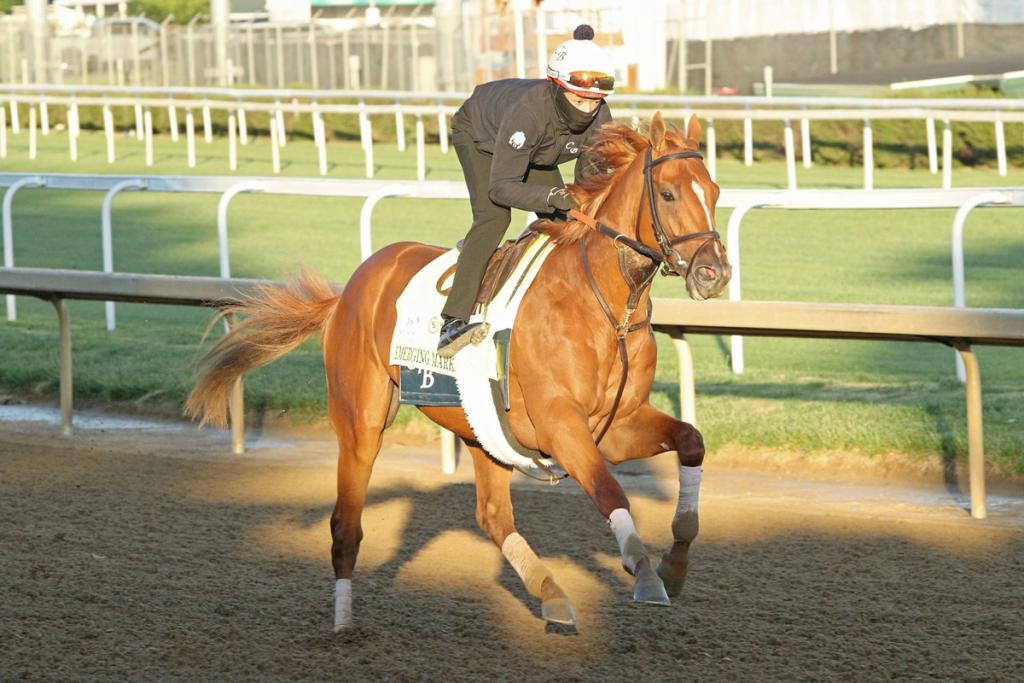 Louisiana Derby titleholder Emerging Market (Coady Media)