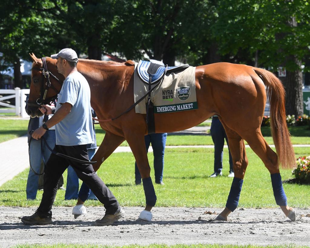 Emerging Market, champion of the Louisiana Derby (Coglianese Photos/Susie Raisher)