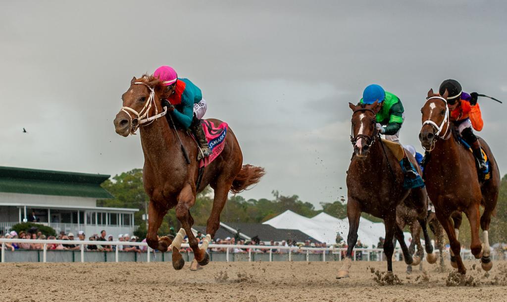 Tampa Bay Derby winner The Puma (Eclipse Sportswire)