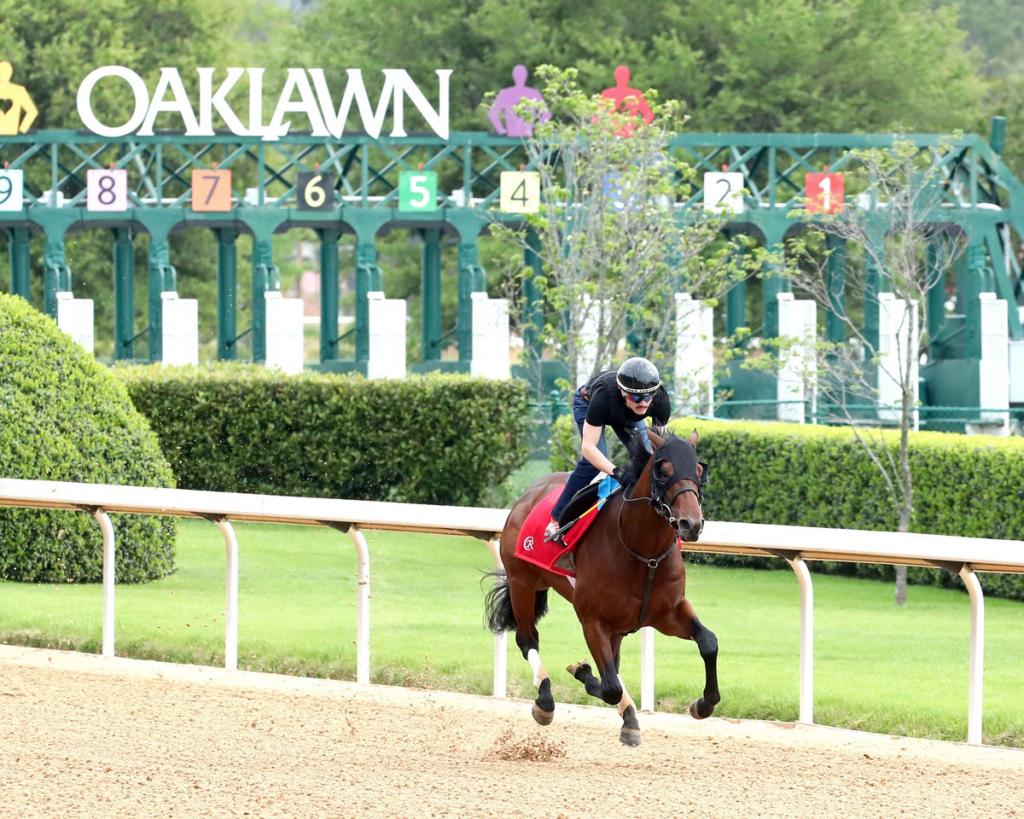 Silent Tactic, victor in the Southwest Stakes (Coady Media)