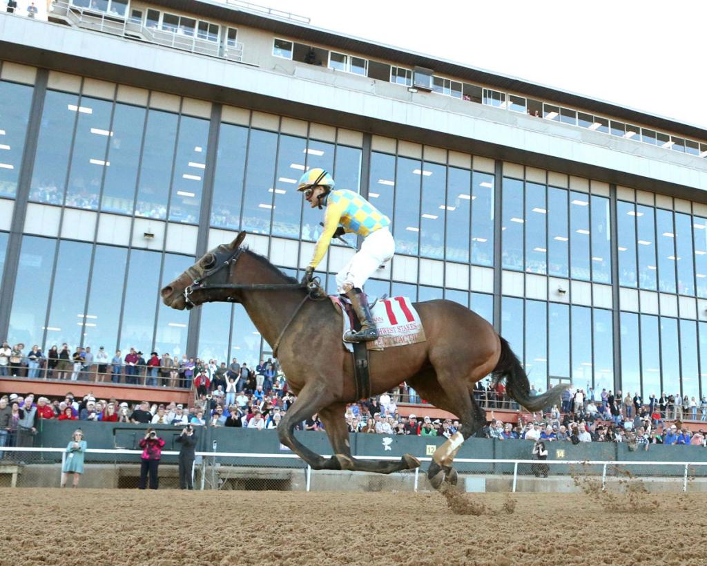 Southwest Stakes titleholder Silent Tactic (Coady Media)