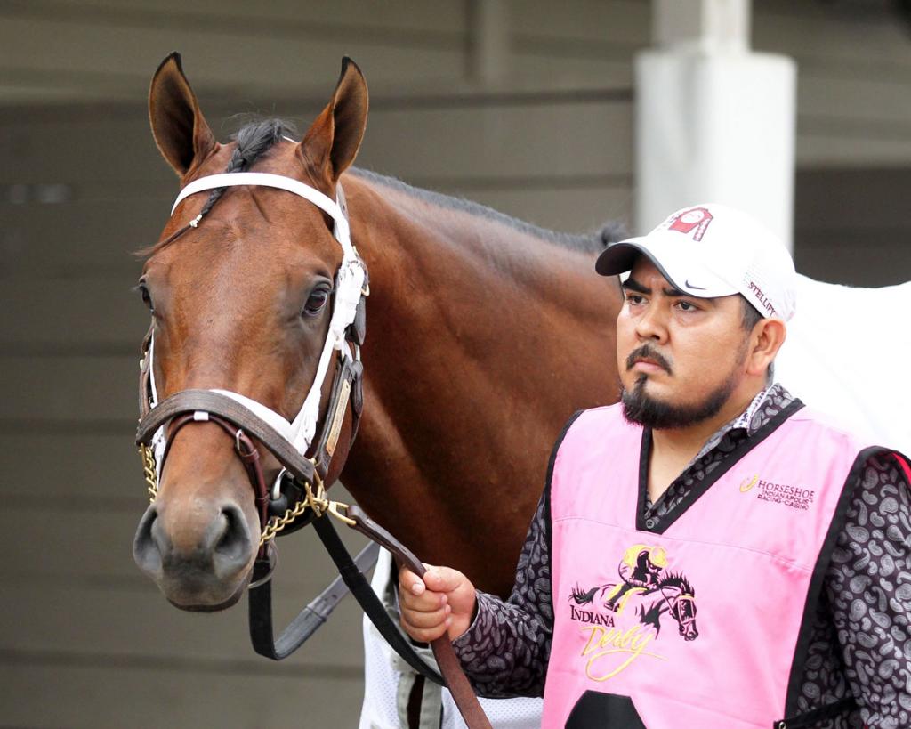 Leading Change, champion of the Indiana Derby (Coady Media)