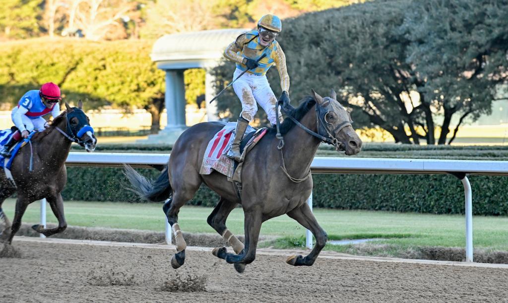 Southwest Stakes winner Silent Tactic by Eclipse Sportswire