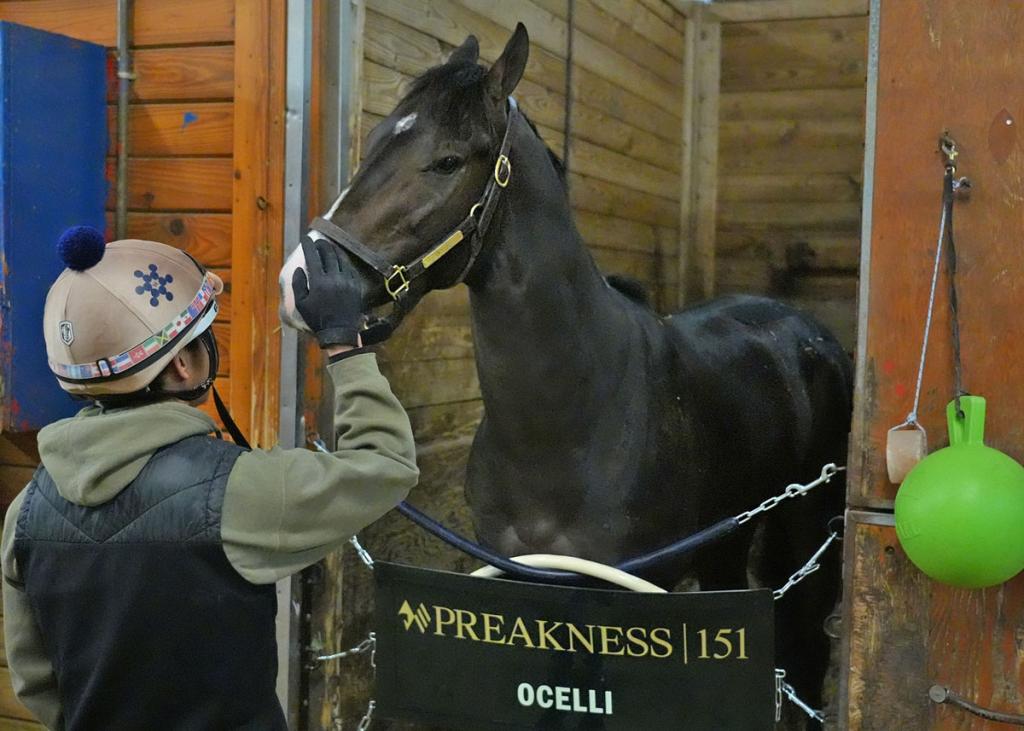 Ocelli, third-place finisher in the Kentucky Derby (Jim McCue/Maryland Jockey Club)