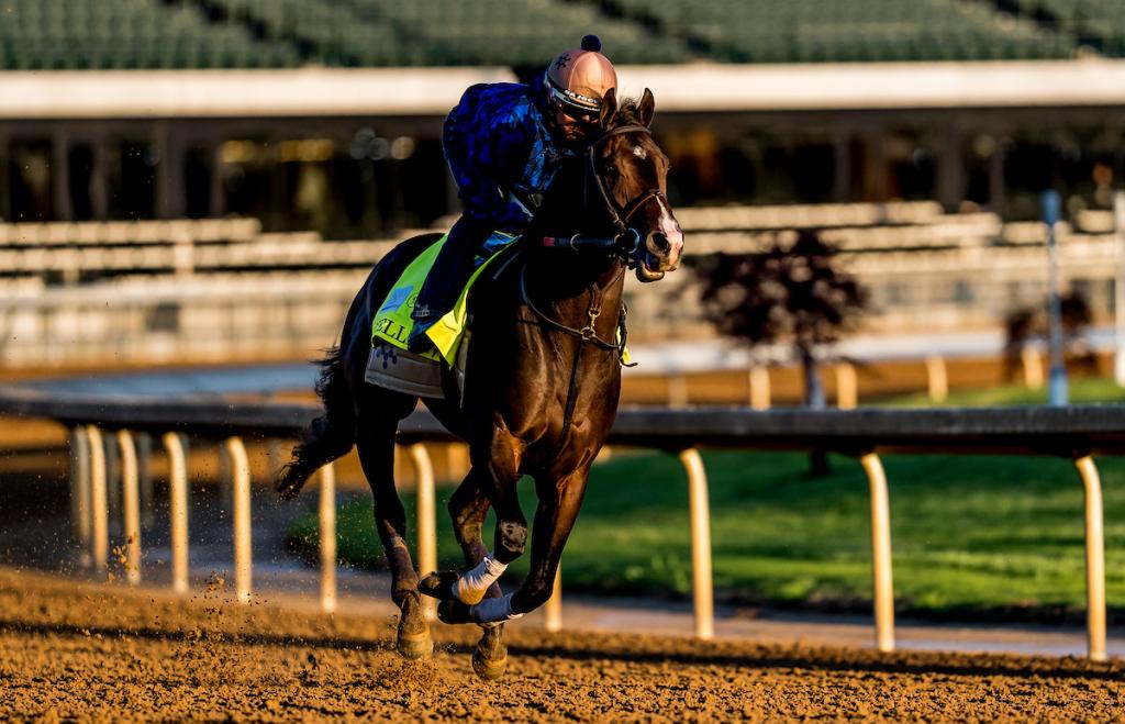 Kentucky Derby third-place horse Ocelli (Eclipse Sportswire)