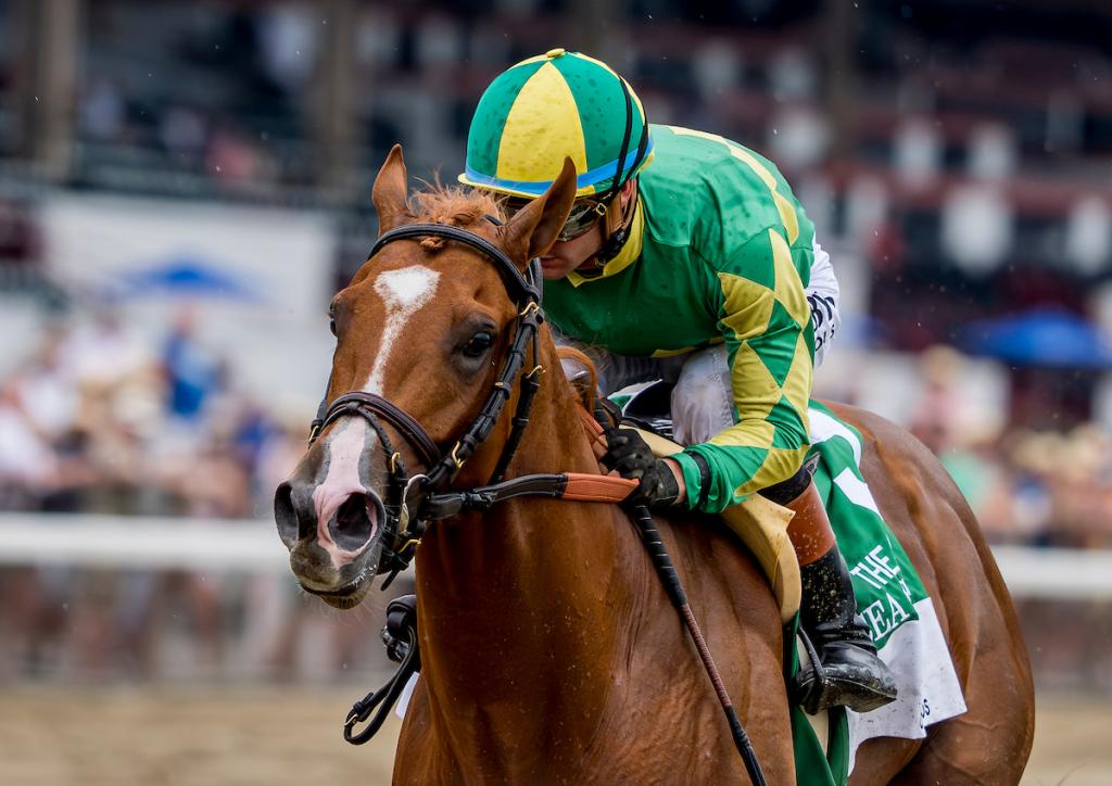 Curlin Stakes winner Sea Strike (Eclipse Sportswire)
