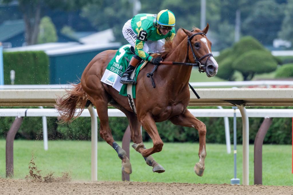 Sea Strike, champion of the Curlin Stakes (Eclipse Sportswire)