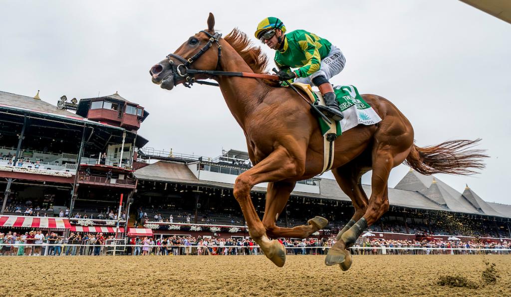 Curlin Stakes victor Sea Strike (Eclipse Sportswire)