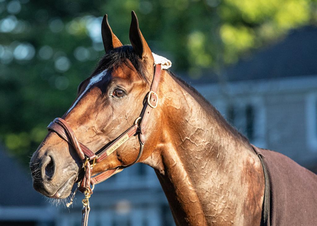 Golden Tempo, champion of the Belmont Stakes and Kentucky Derby (Eclipse Sportswire)