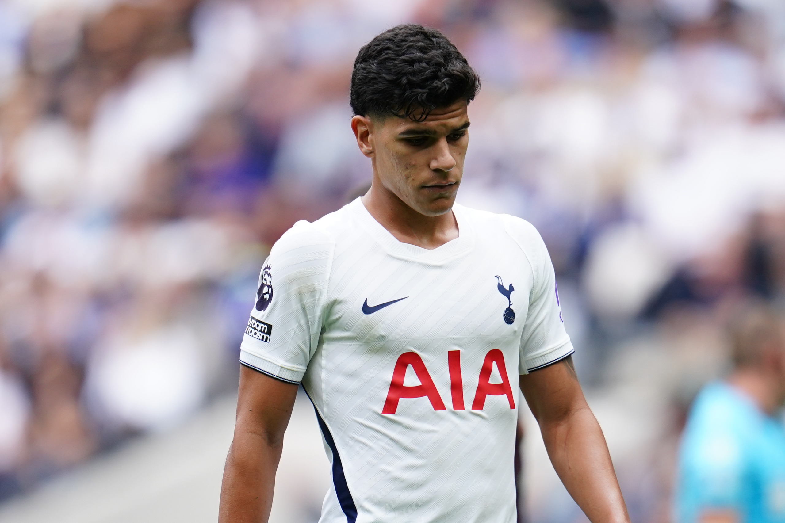 Mateus Fernandes experiencing a challenging beginning with Tottenham